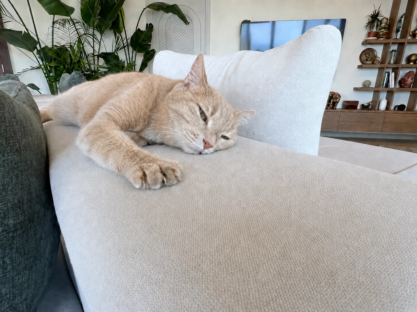 A quiet moment at home